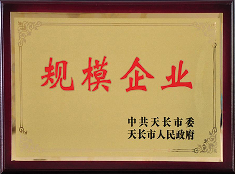 規（guī）模企業